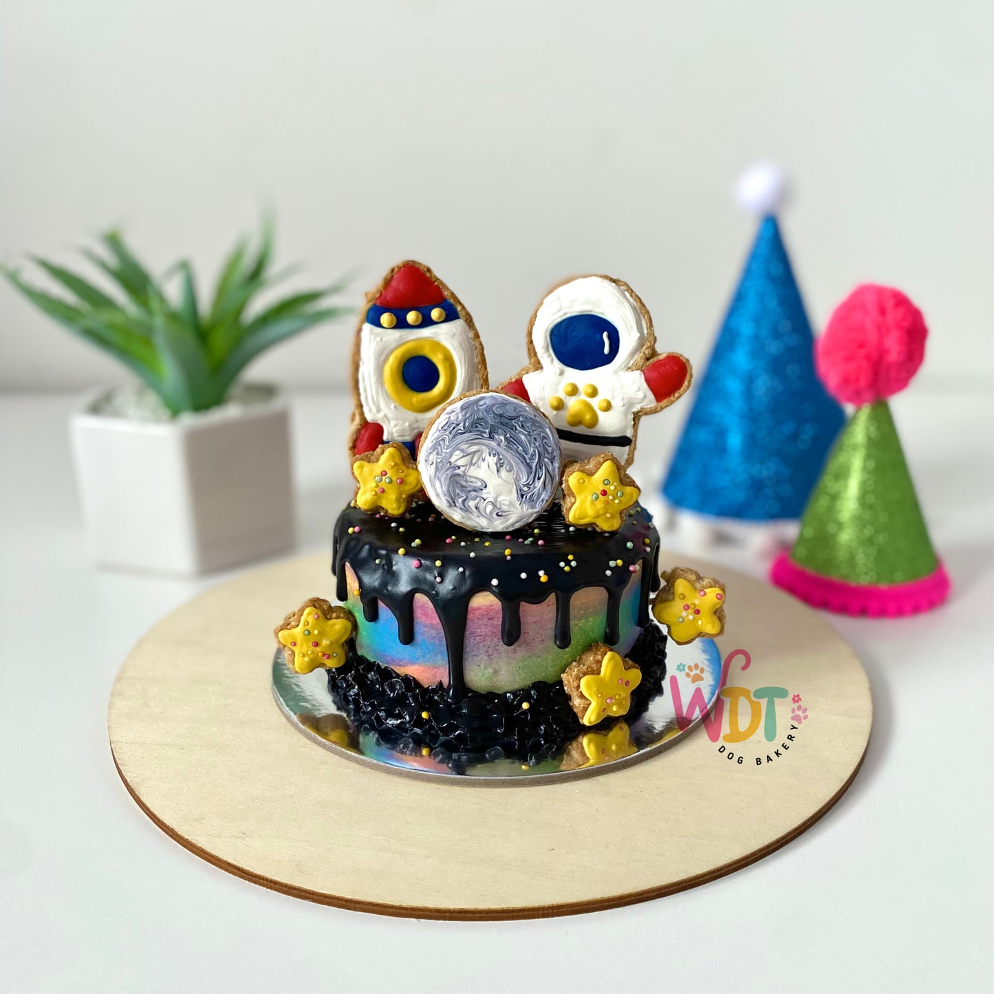 b. Outta Space Pupcake