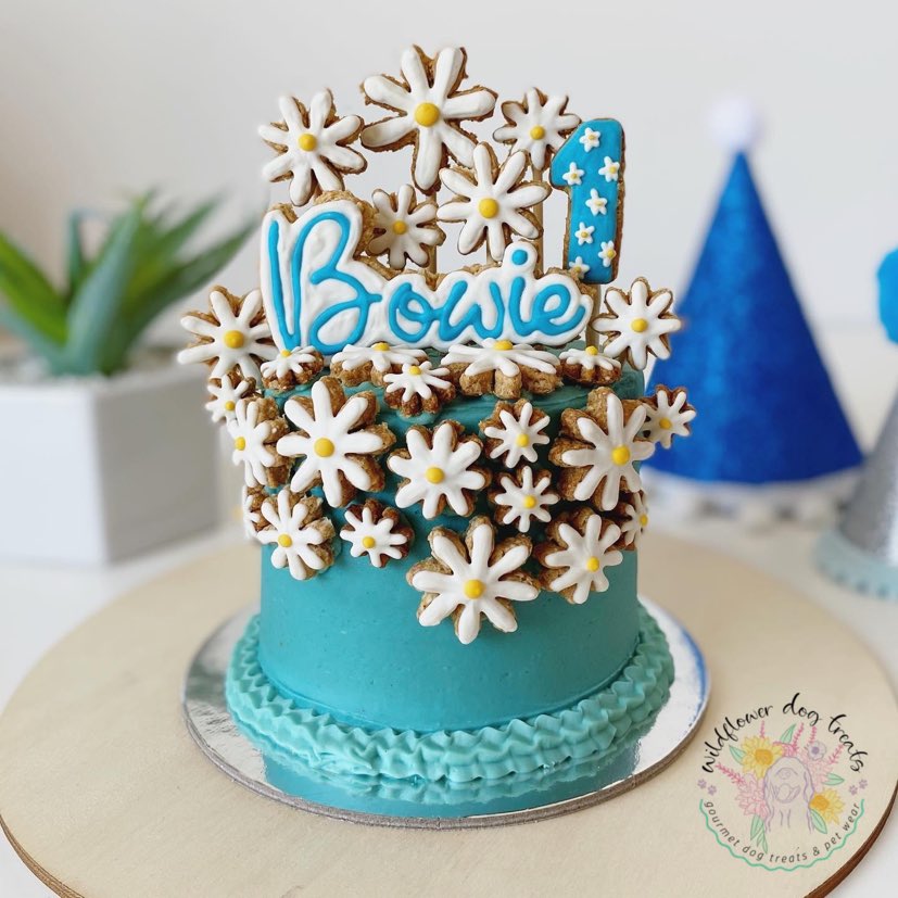 b. Cover Me In Daisy's Pupcake