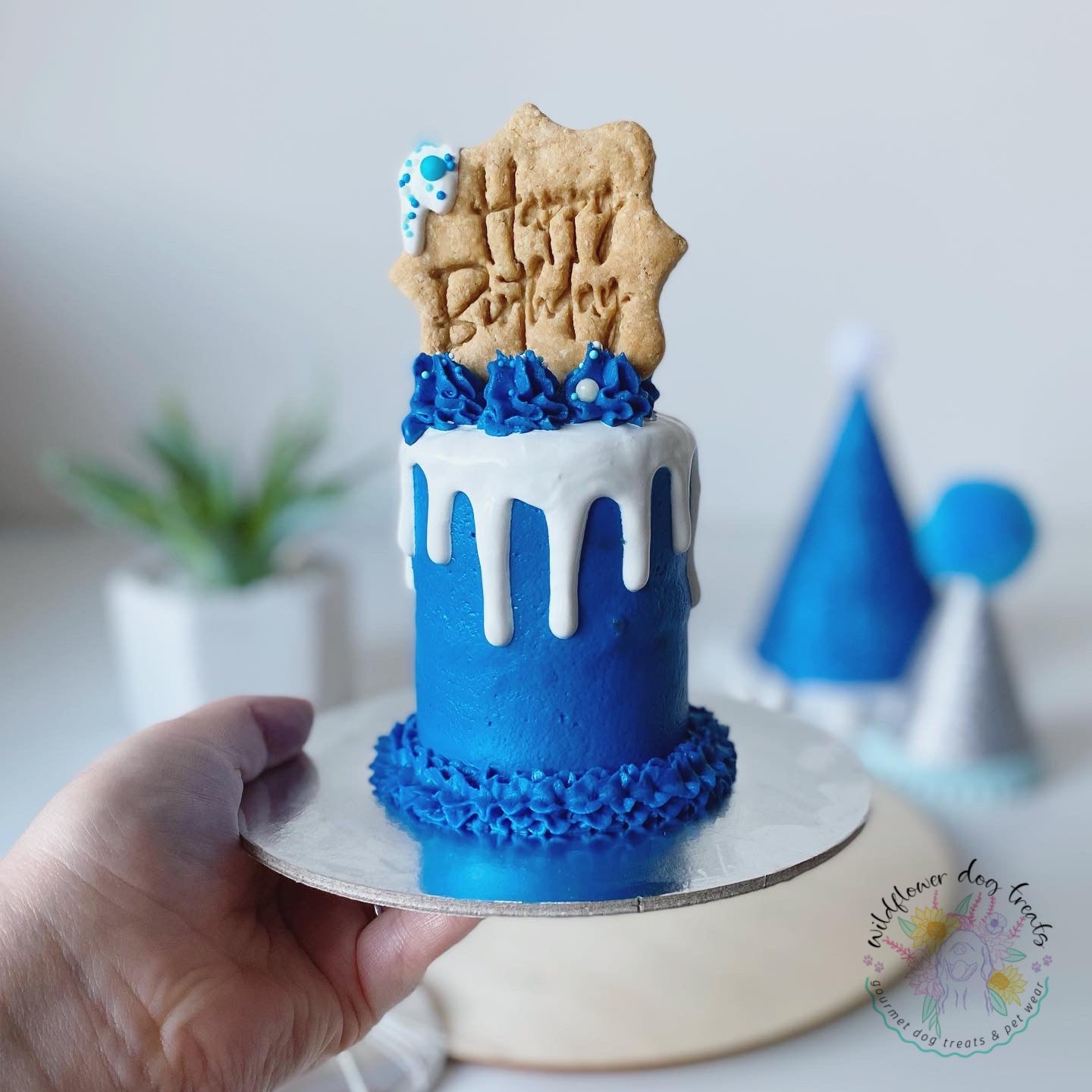 b. Mini Birthday Pupcake