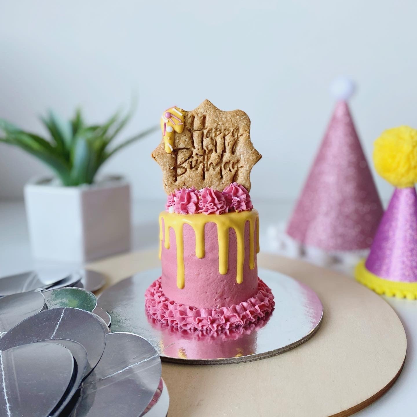 b. Mini Birthday Pupcake