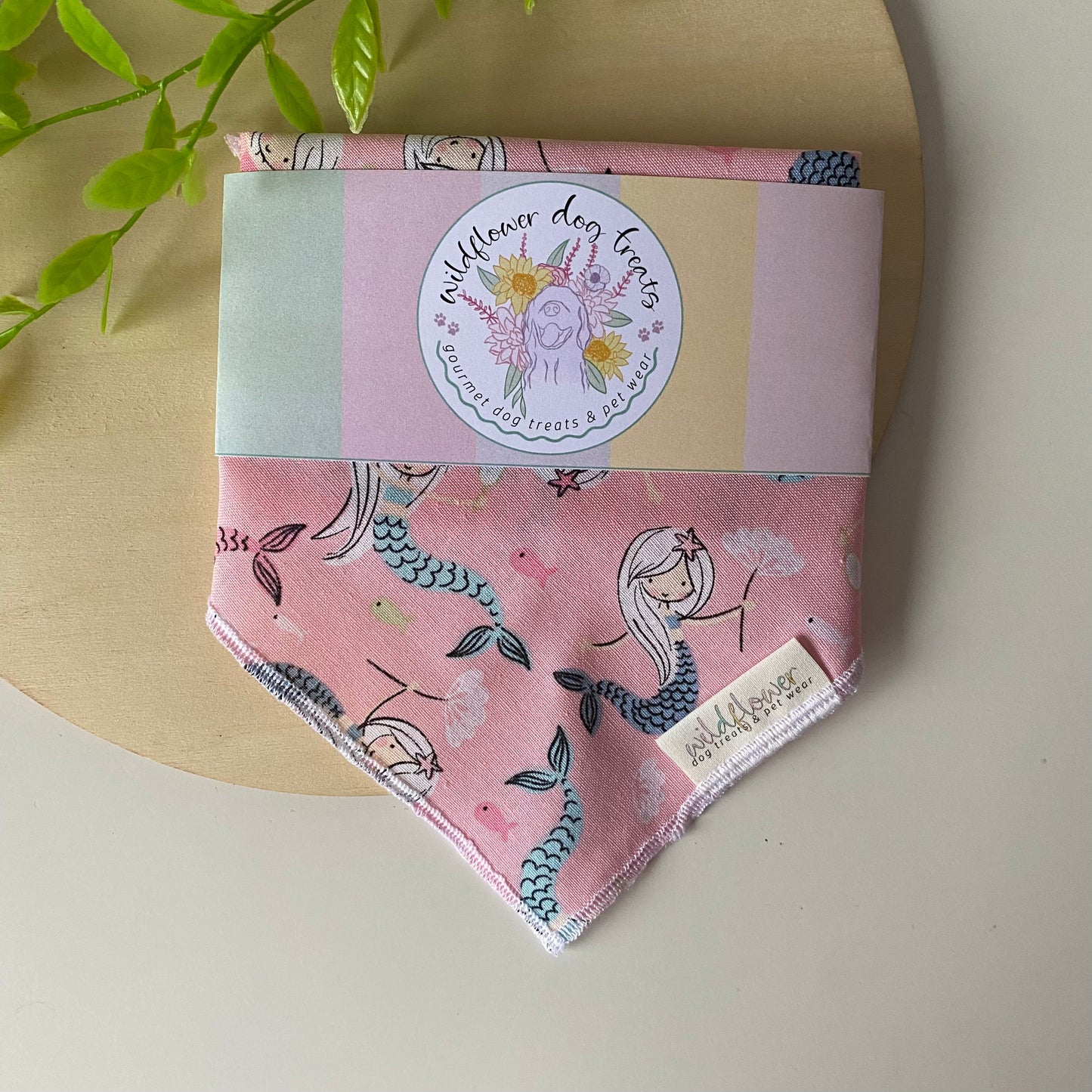 e. Princess Bandanas