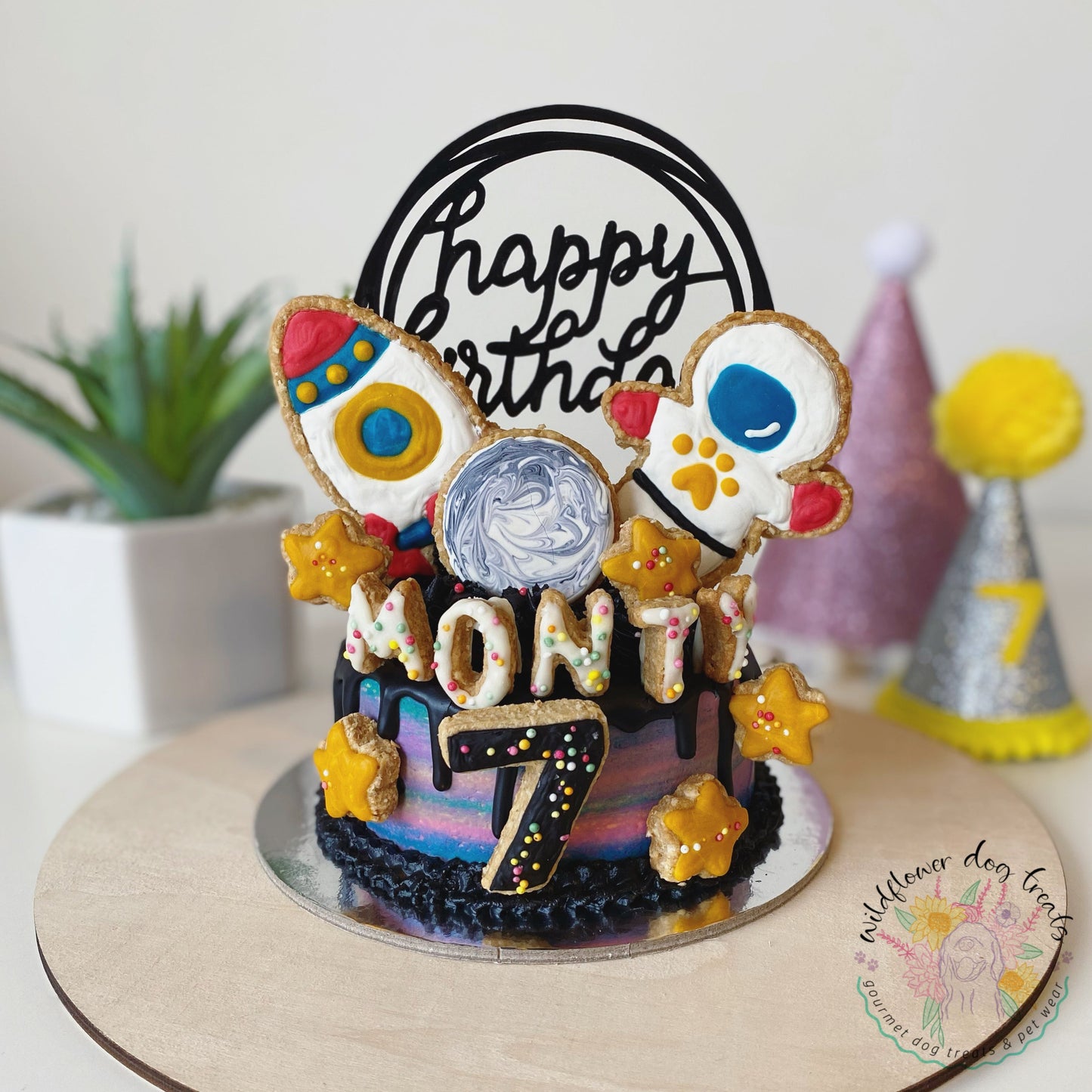 b. Outta Space Pupcake