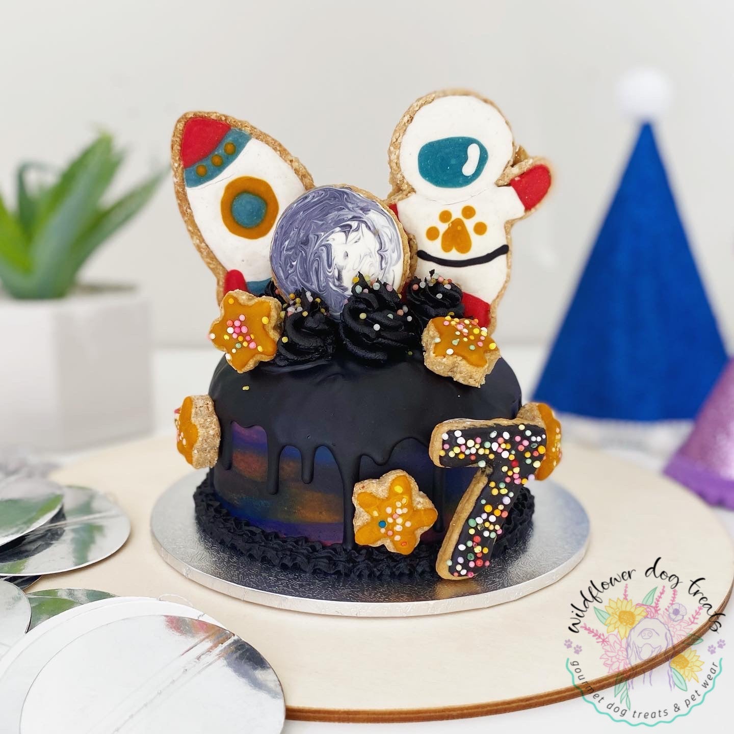 b. Outta Space Pupcake