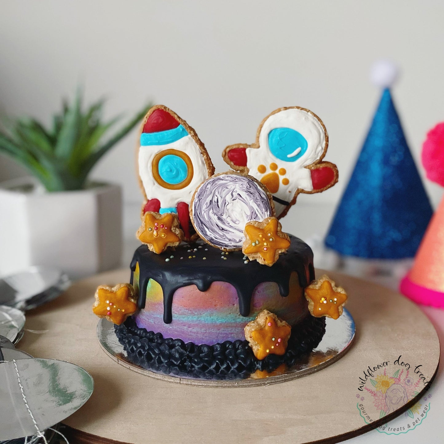 b. Outta Space Pupcake