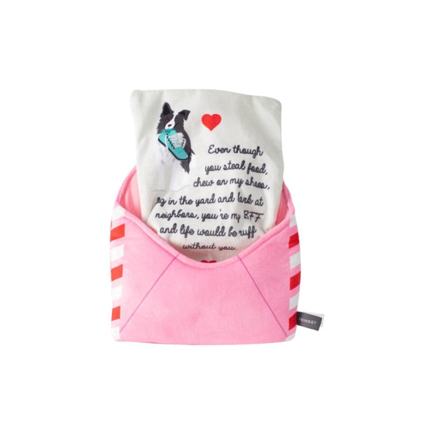 f. FRINGE STUDIO Valentines Day Just Write For Me Plush Squeaker Dog Toy
