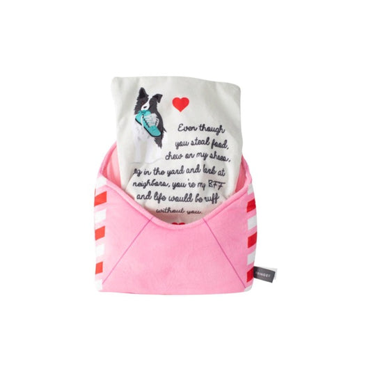 f. FRINGE STUDIO Valentines Day Just Write For Me Plush Squeaker Dog Toy