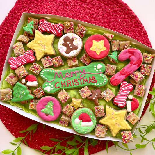 a. Christmas Joy - Large Gift Box