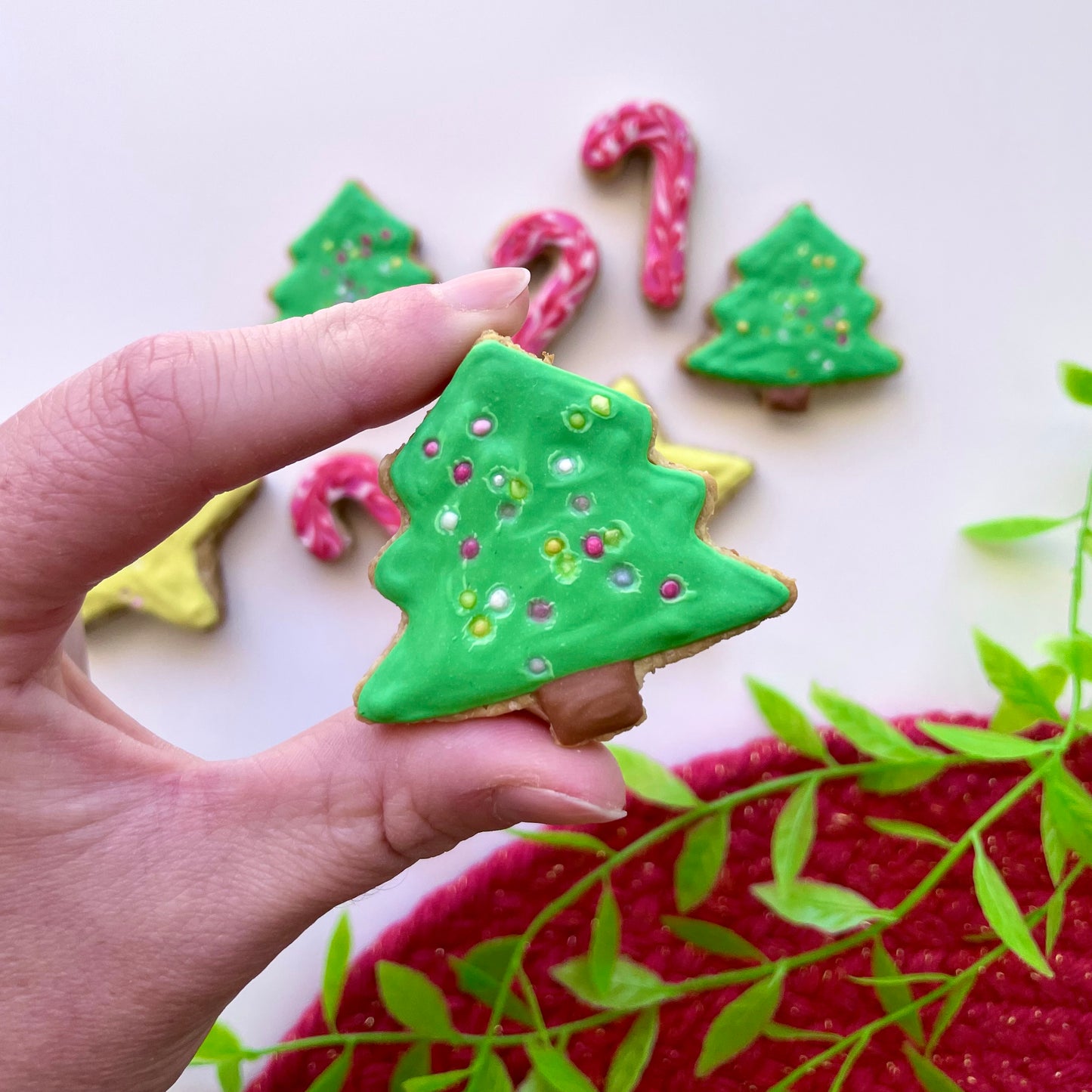 a. Christmas Cookies