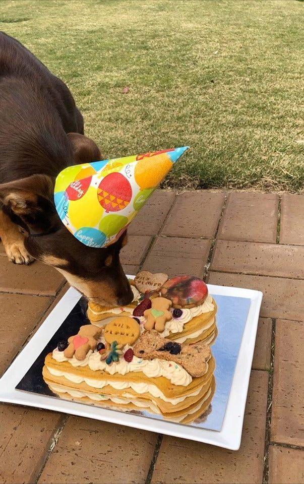 b. Number Pupcake XLarge