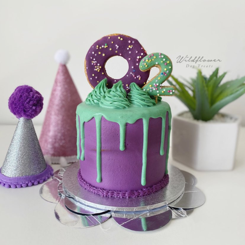 b. Donut Drip Pupcake