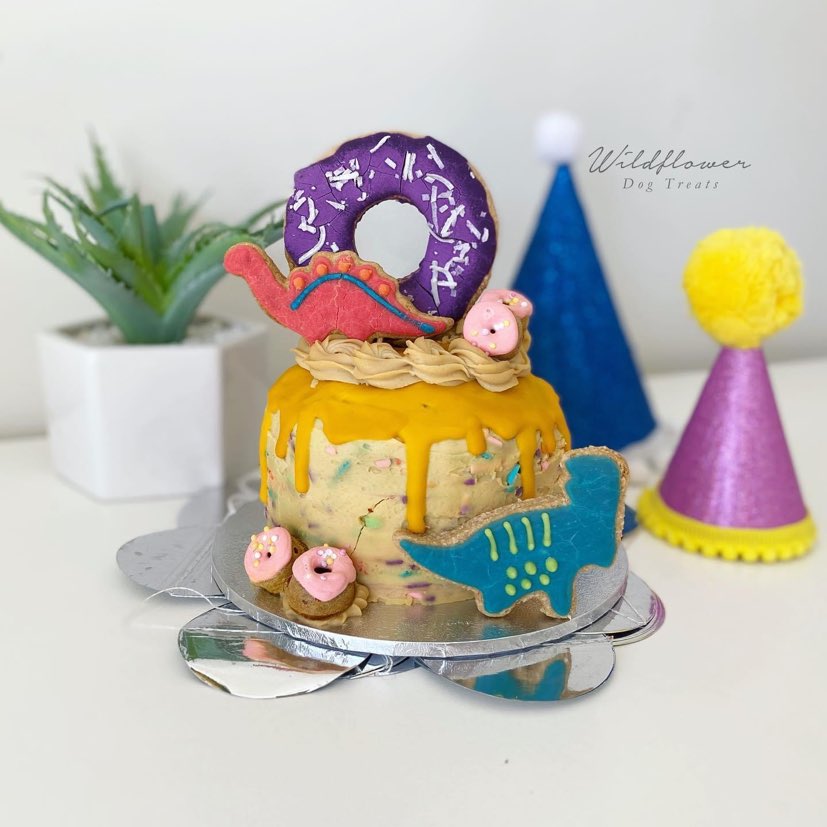 b. Dinosaur Pupcake