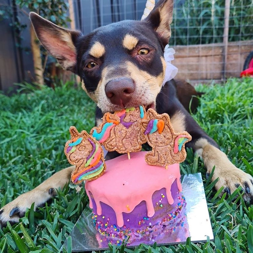 b. Custom Pupcake QUOTE Request