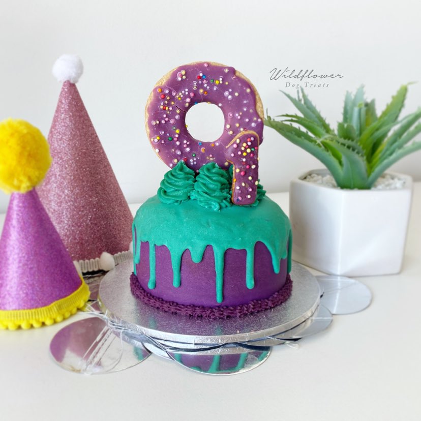 b. Donut Drip Pupcake