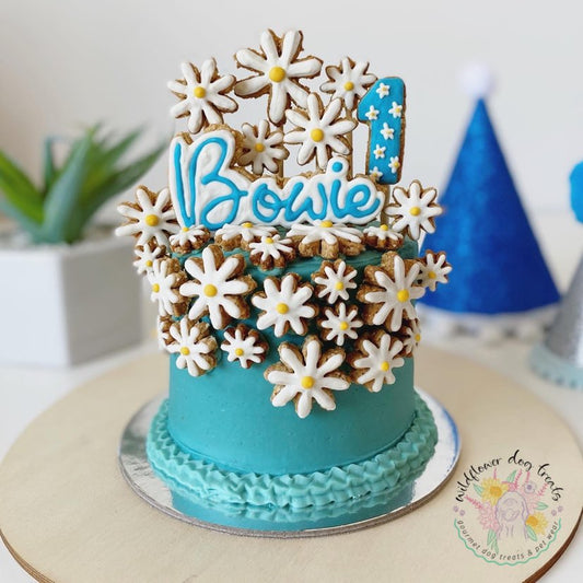 b. Cover Me In Daisy's Pupcake