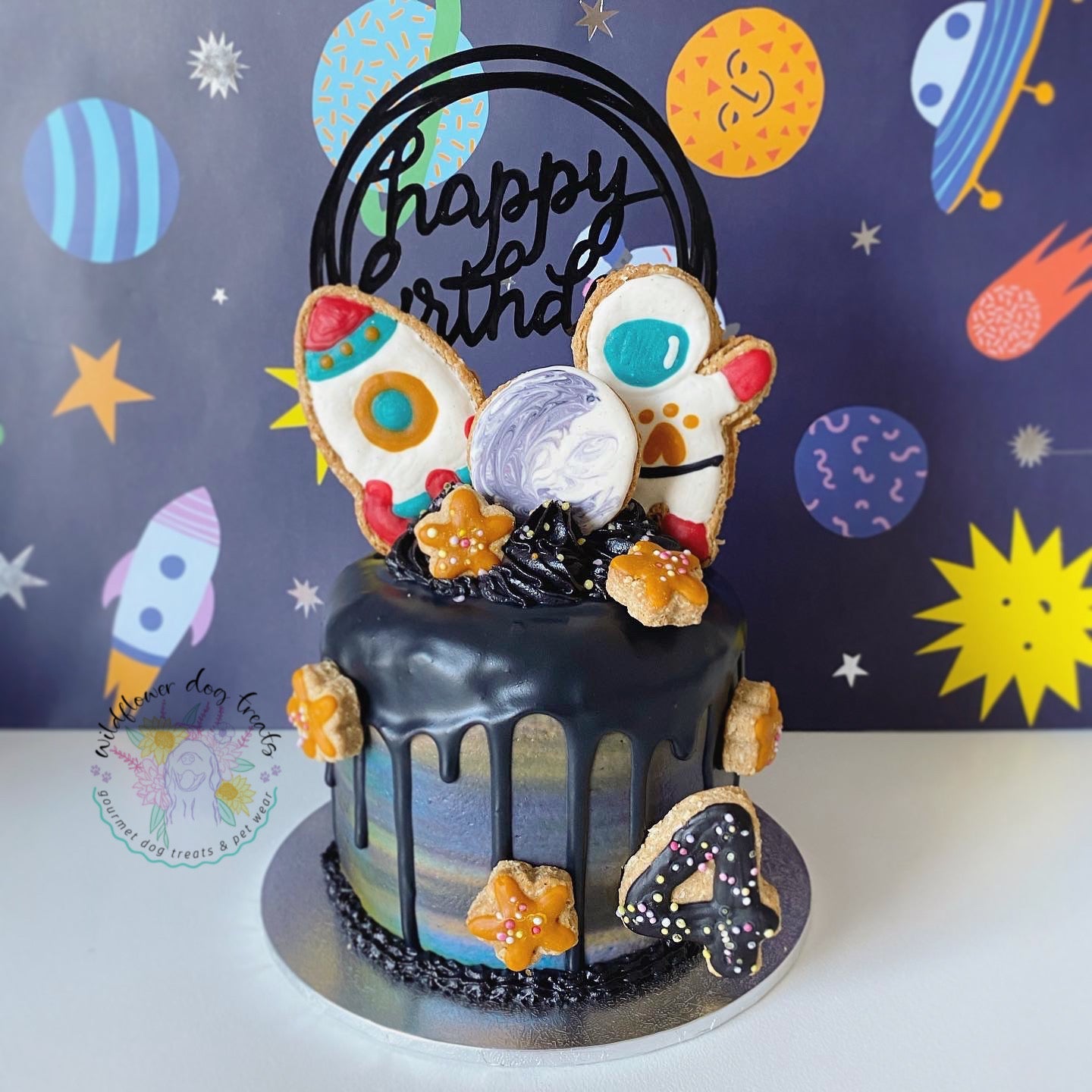 b. Outta Space Pupcake