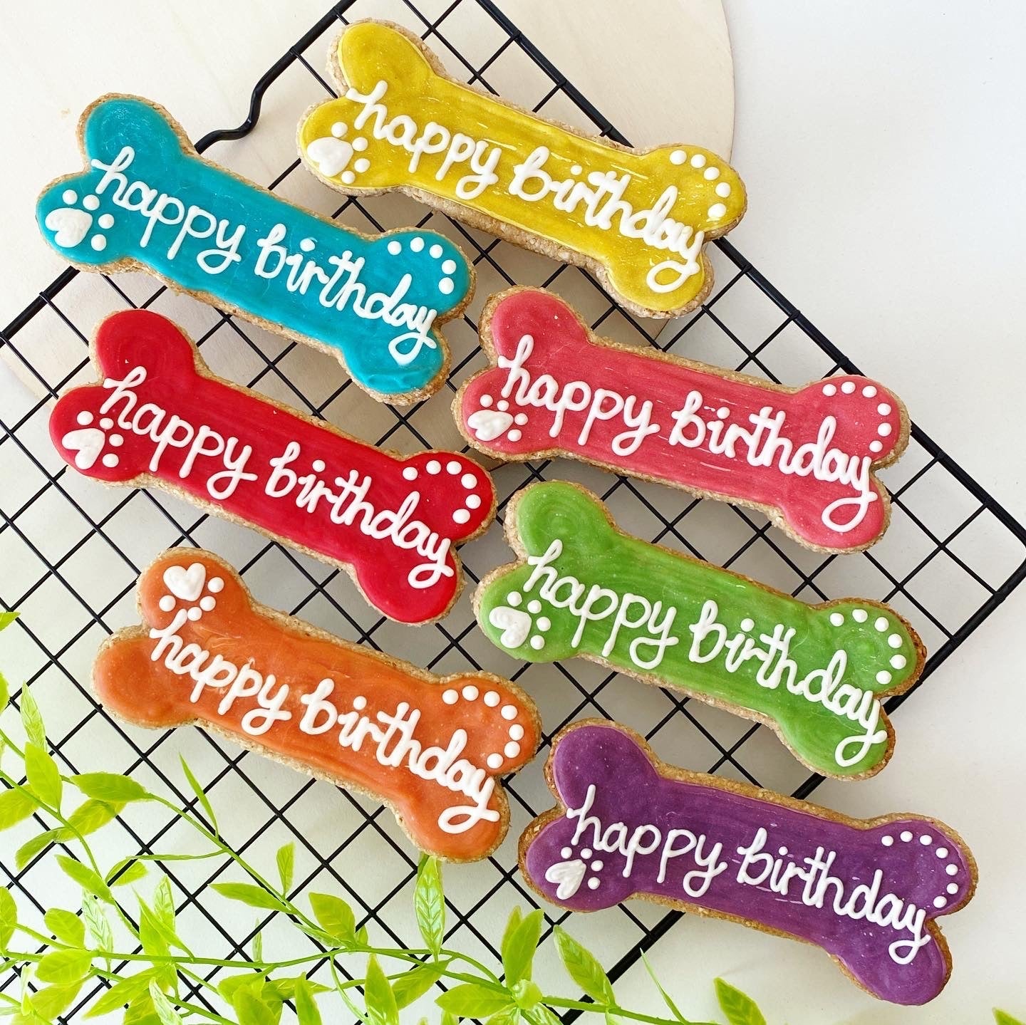 c. Large Birthday Bone Gift Box