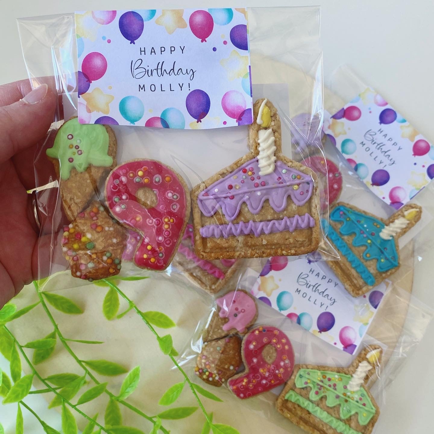 c. Party Bags