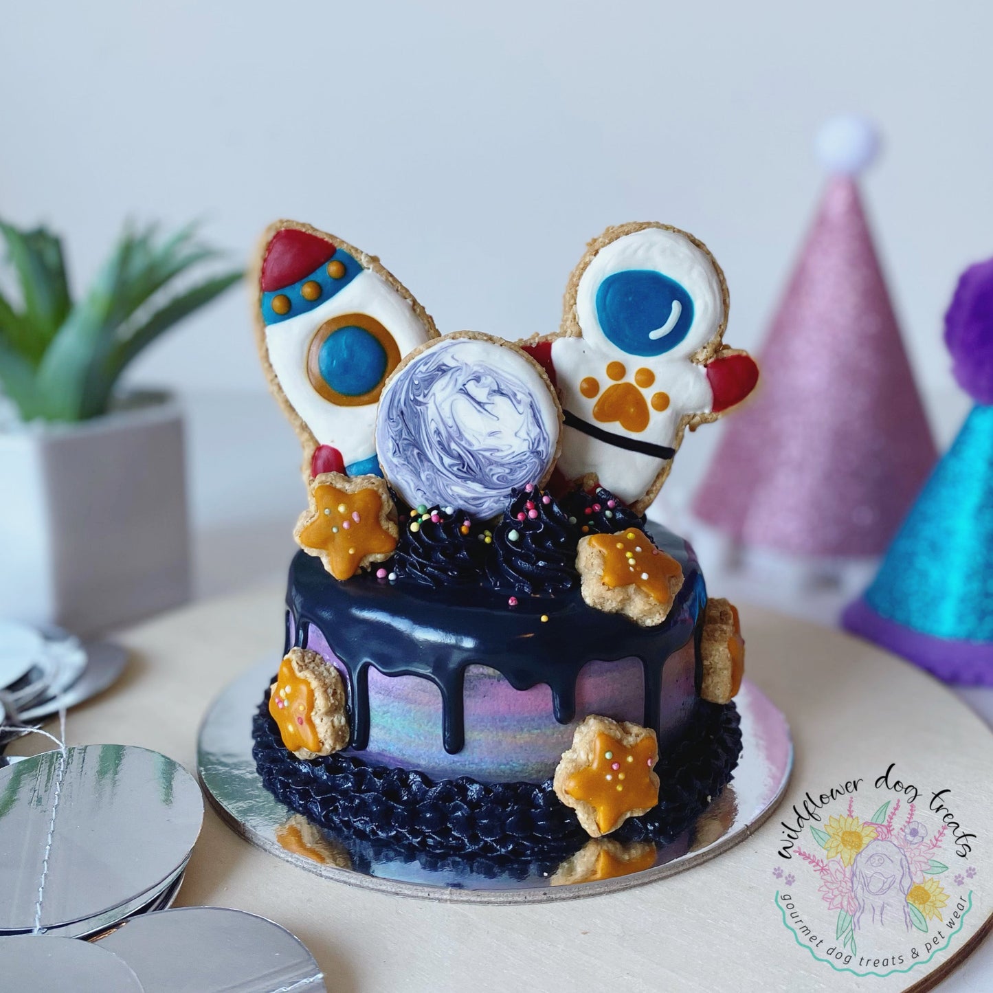 b. Outta Space Pupcake