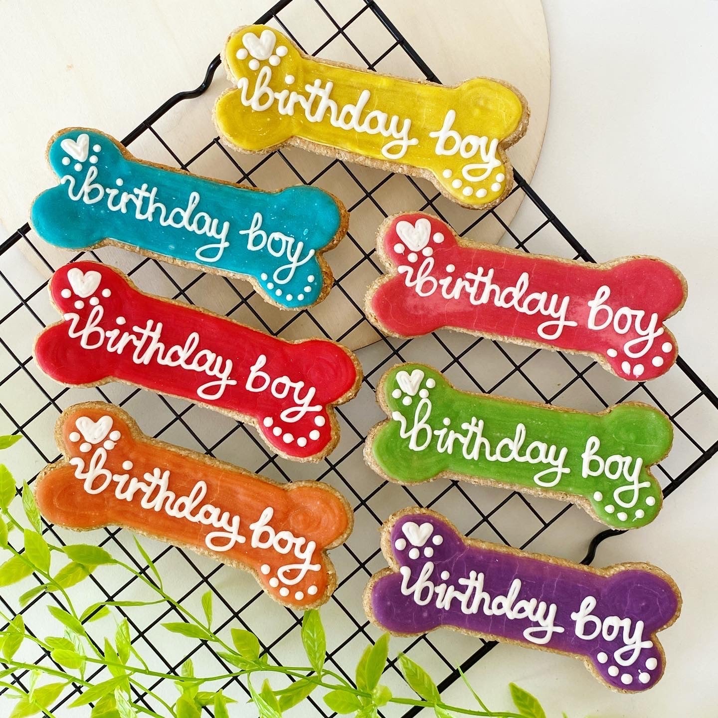 c. Large Birthday Bone Gift Box