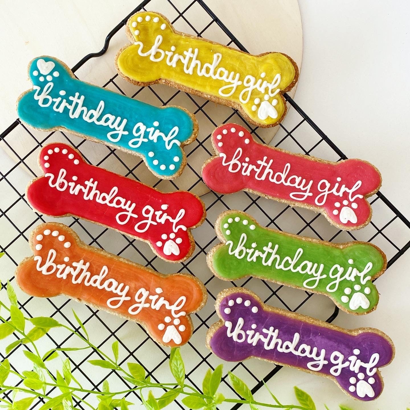 c. Large Birthday Bone Gift Box