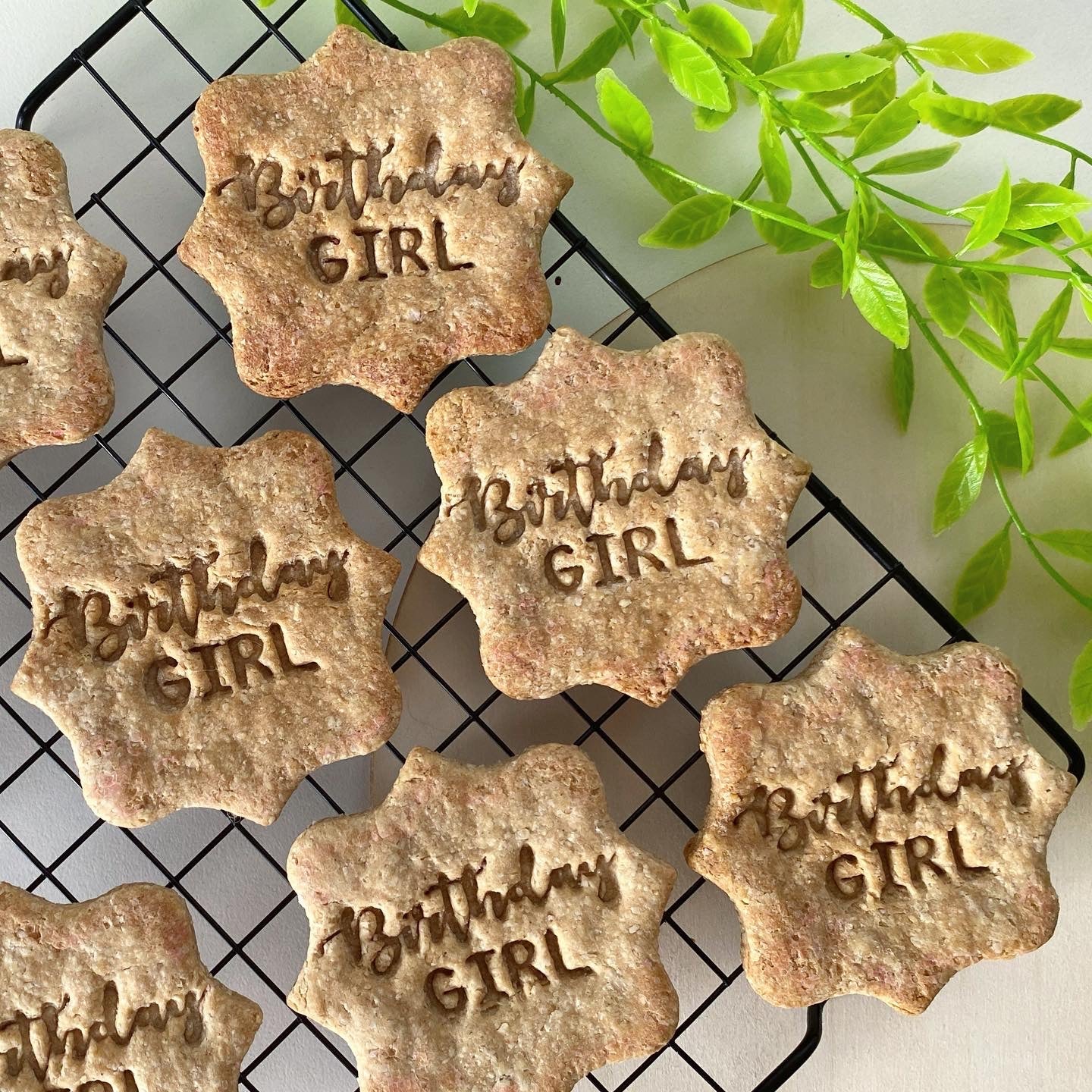 d. Birthday Girl / Boy Cookie