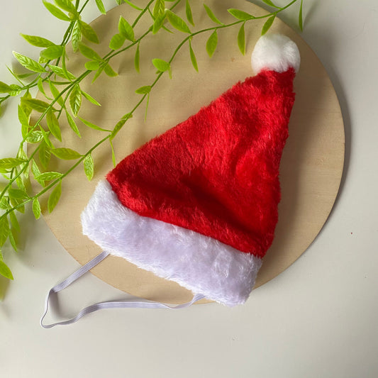 e. Santa Hat